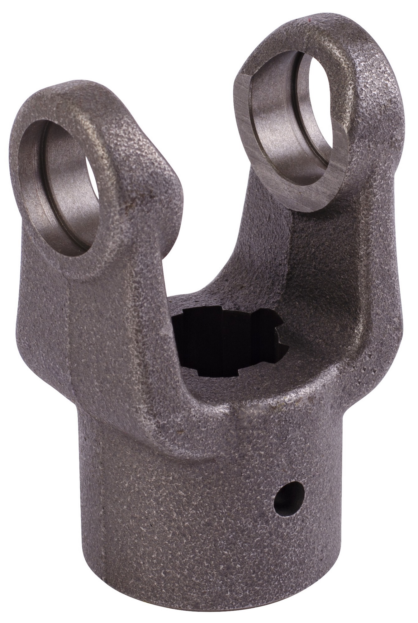 pi0129(=^・・^=) 8010618_1741718977.jpg