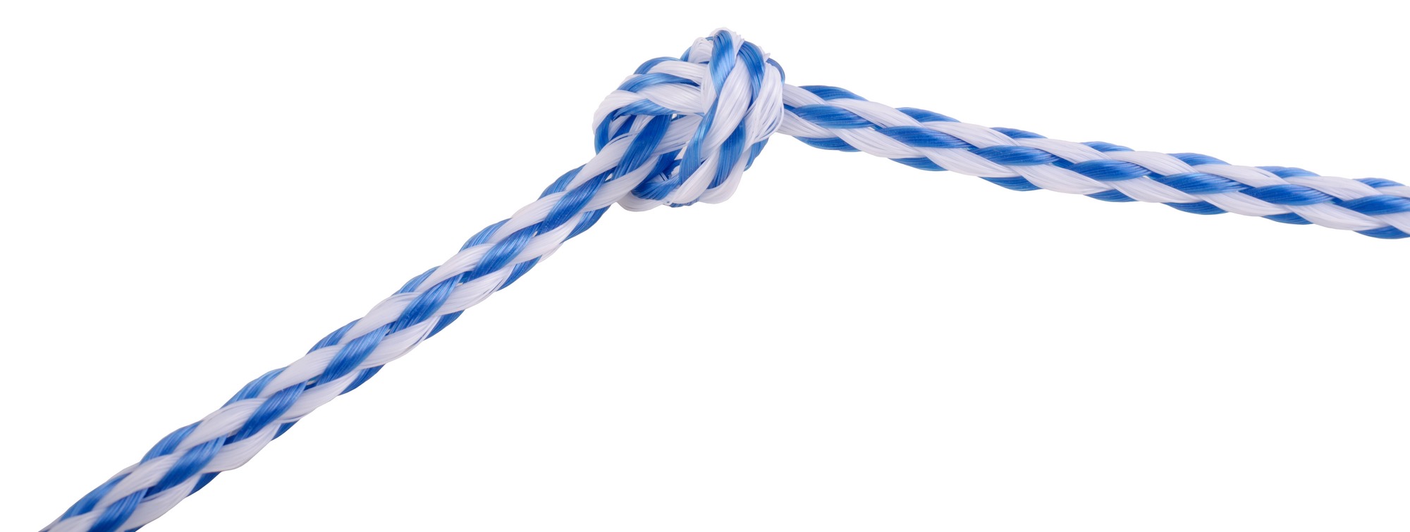 Erin Rope Polypropylene Hollow Braid Rope (Blue/White) 1/4 in.