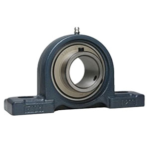 FYH Premium 2 Bolt Flange Bearing, 1-1/4