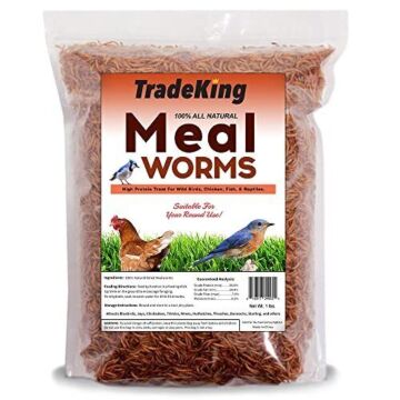 TradeKing MW1 1 lb Pouch Dried Mealworm