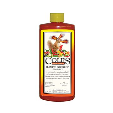 Cole's® FS08 8 oz Hot and Spicy Flaming Squirrel Seed Sauce
