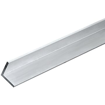 Angle 1" x 1/8" 4' Stainless Stl