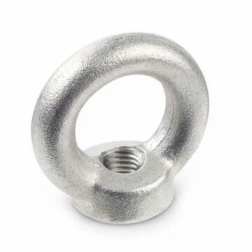 1/4 in Steel Galvanized Eye Nut