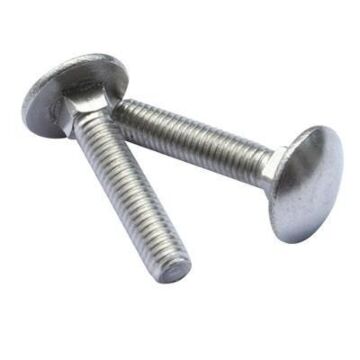 Star Stainless 1/4-20 1-1/2 in Stainless Steel Grade 18-8 Carriage Bolt