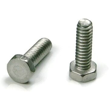 Star Stainless 1/2-13 2 in Hex Head Stainless Steel Cap Screw