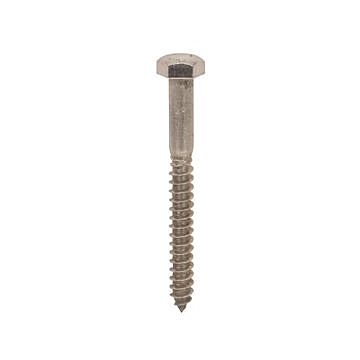 Star Stainless 1/4 in Hex 3 in Stainless Steel Lag Screw