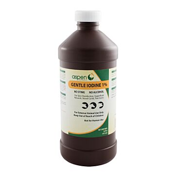 Aspen 16 oz Container Size Bottle Container Type Liquid Gentle Iodine Spray 1%