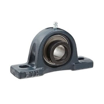 FYH 1-1/4 in 5 in 3-3/4 in Pillow Block Ball Bearing With Eccentric Collar Locking
