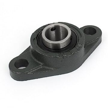 25 mm 99 mm 2-Hole Flange Mount Ball Bearing with Set Screw