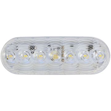 Peterson Oval LED Clear Backup