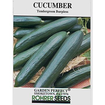 Rohrer Seeds 3-10 1/2 in 4-6 in Tendergreen Burpless Cucumber Seeds