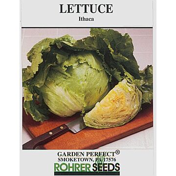 Rohrer Seeds 7-10 1/8 in 1 in Ithaca Mto Lettuce Seeds