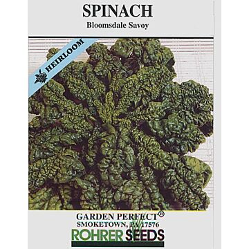 Rohrer Seeds 7-14 1/2 in 1/2 in Bloomsdale Spinach Seeds
