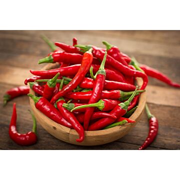 Rohrer Seeds 14-28 1/4 in 6 in Long Red Cayenne Pepper Seeds