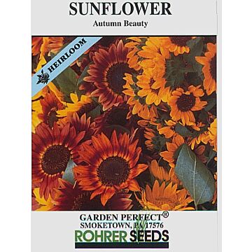 Rohrer Seeds Helianthus Annuus 7-14 1/2 in Annual Autumn Beauty Sunflower Seeds