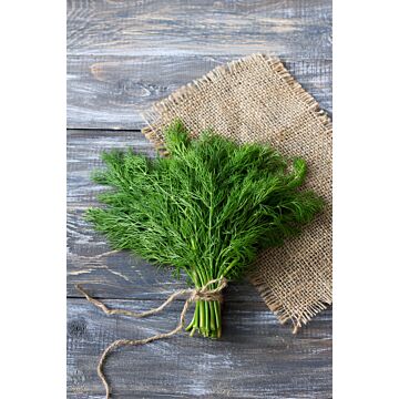 Rohrer Seeds 7-14 1/8 in 3 in Bouquet Dill Seeds