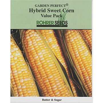 Rohrer Seeds 2 oz Bicolor 5-10 Butter & Sugar Sweet Corn Seeds