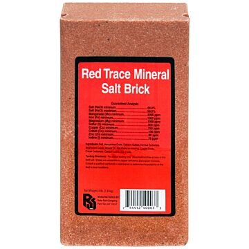 Roto Salt Champion's Choice 110004997 Trace Mineral Salt Brick, 4 lb