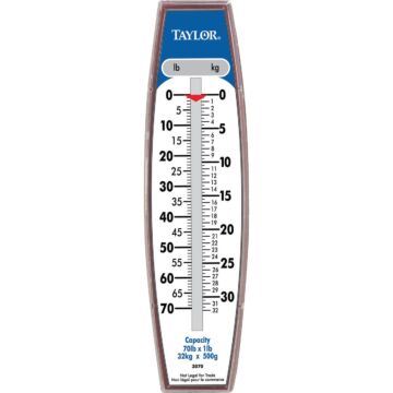 Taylor 70 Lb. Capacity Steel Hook Hanging Scale