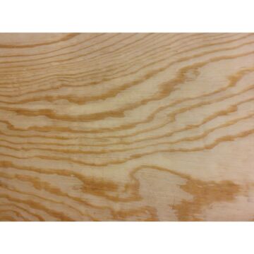 3/8" x 24" x 24" BCX Pine Plywood