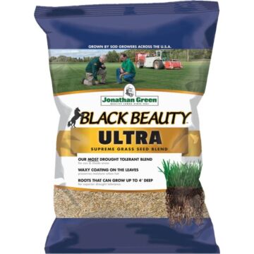 Black Beauty Ultra Grass Seed