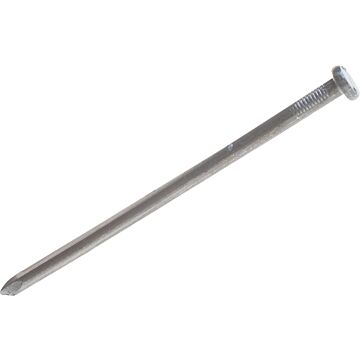 Grip-Rite 10 in 3/8 Dia. Bright Smooth Landscape Spikes