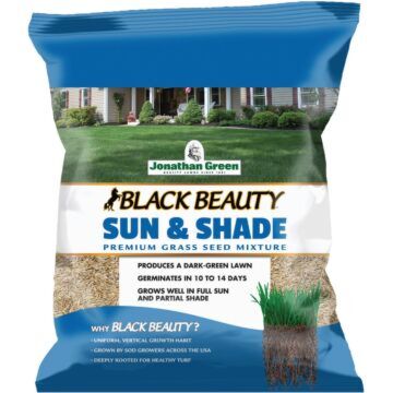 Black Beauty Sun & Shade Grass Seed