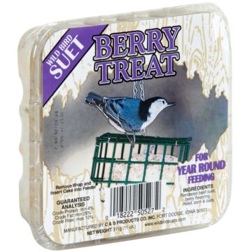 C&S Berry Treat Wild Bird Suet - 11 oz