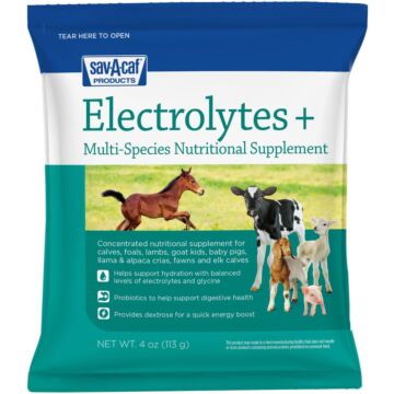 Sav-A-Caf Electrolytes Plus Powder Supplement - 4 oz