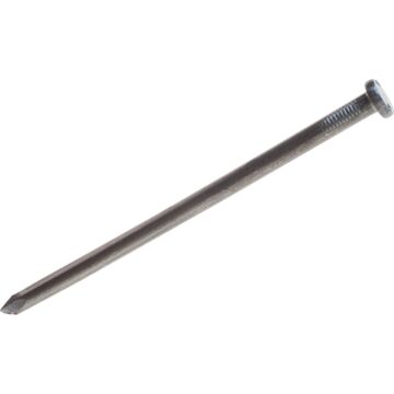 Grip-Rite 12 in 3/8 Dia. Bright Smooth Landscape Spikes