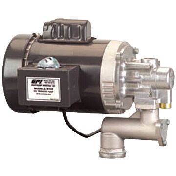 GPI® 3/4 in High Viscosity Oil Transfer Pump Rebuild Kit