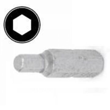 Hex Security Insert Bit