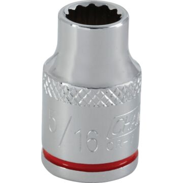 Channellock 3/8 In. Drive 5/16 In. 12-Point Shallow Standard Socket