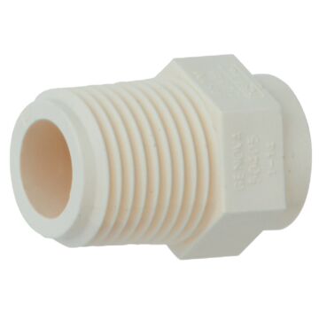Charlotte Pipe 1/2 In. Male Thread to CPVC Adapter
