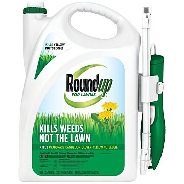 KLR WD ROUNDUP FOR LAWNS 1.33G