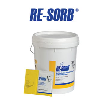 Zoetis 2.4 oz Container Size Re-Sorb Powder