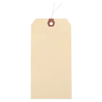 6-1/4 in 3-1/8 in Natural Kraft Paper Wire Tag