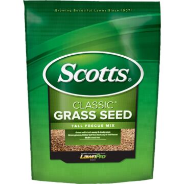 Scotts Classic 3 Lb. 650 Sq. Ft. Coverage Tall Fescue Grass Seed