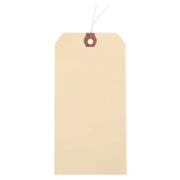 6-1/4 in 3-1/8 in Natural Kraft Paper Wire Tag