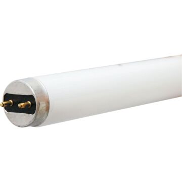 Philips 17W 24 In. Bright White T8 Medium Bi-Pin Fluorescent Tube Light Bulb