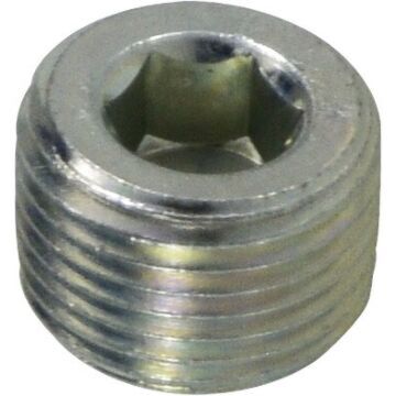Hollow Hex Pipe Plug