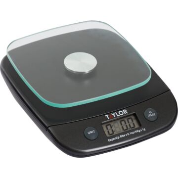 Taylor Digital Food Scale - 8 lb Capacity