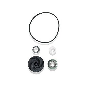 WAYNE Water Systems PC4 Repair Kit