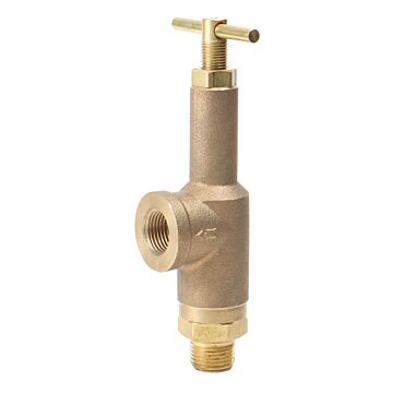 TeeJet 1/2 in MNPT Connection Type 700 psi Pressure Relief Valve