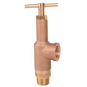 TeeJet 3/4 in MNPT Connection Type 0 - 300 psi Pressure Relief Valve