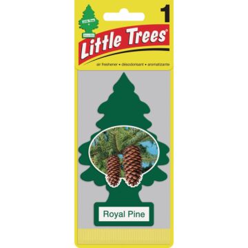 Little Trees Car Air Freshener, Royal Pine