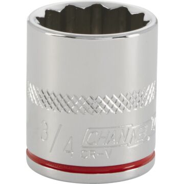 Channellock 3/8 In. Drive 3/4 In. 12-Point Shallow Standard Socket