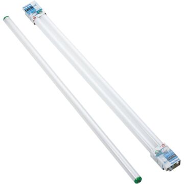 Philips ALTO 40W 48 In. Cool White T12 Medium Bi-Pin Fluorescent Tube Light Bulb