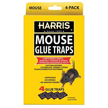 HARRIS HMG-4 Mouse Glue Trap