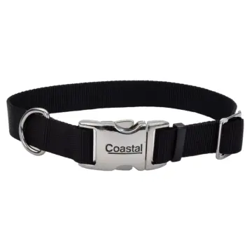 Coastal Pet Large 18-26 in 1 in Dog Collar